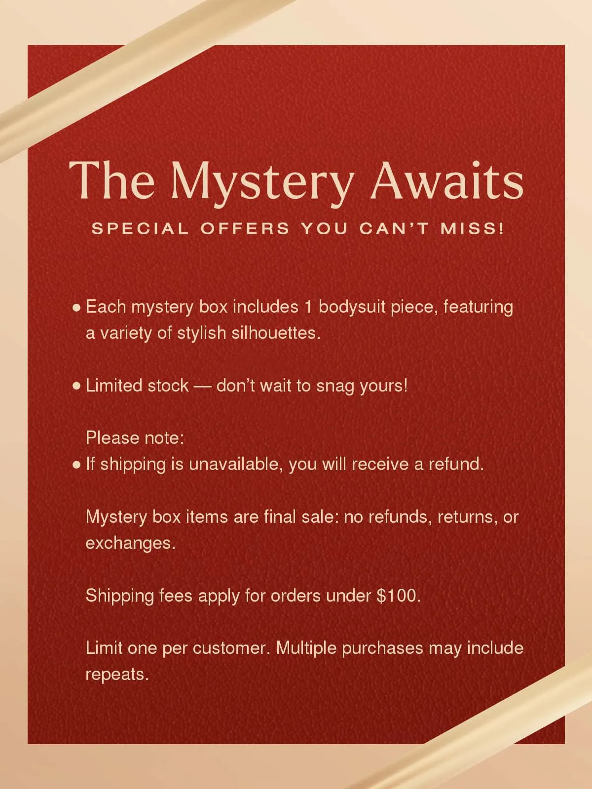 Mystery Box: $29.99 Bodysuit Limited Surprise